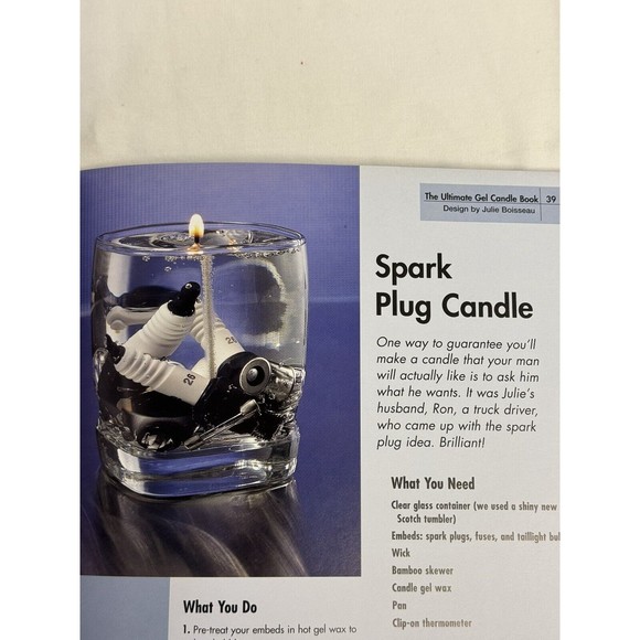 The Ultimate Gel Candle Book by Julie Boisseau, Marcianne Miller and Ali… - Picture 3 of 9